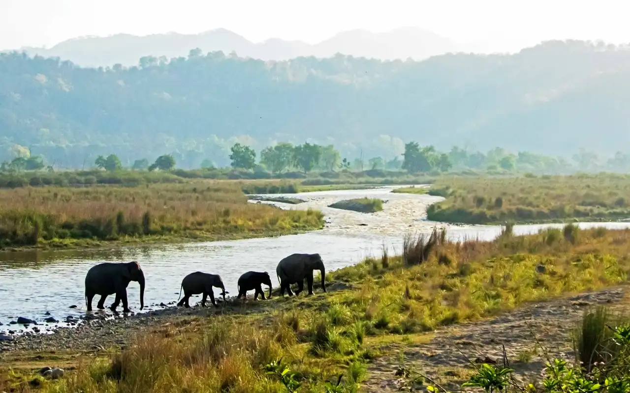 Jim Corbett National Park